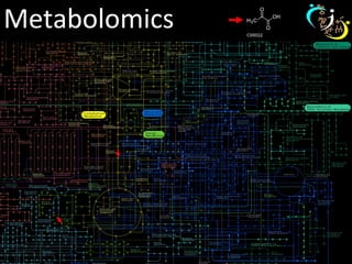Intermediate Strategies for Metabolomic Data Analysis | PPT