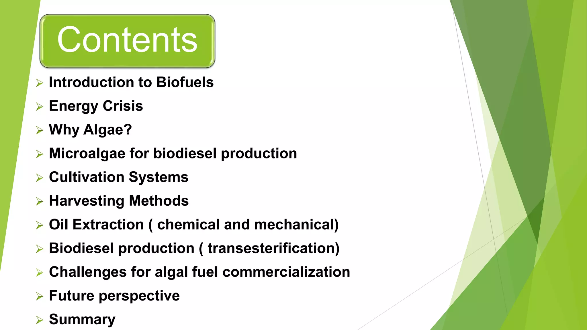 Algal biodiesel | PPTX