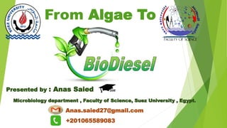 From Algae To
Presented by : Anas Saied
Microbiology department , Faculty of Science, Suez University , Egypt.
Anas.saied27@gmail.com
+201065589083
 