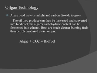 Oilgae Technology Algae need water, sunlight and carbon dioxide to grow.  The oil they produce can then be harvested and converted into biodiesel; the algae’s carbohydrate content can be fermented into ethanol. Both are much cleaner-burning fuels than petroleum-based diesel or gas. Algae + CO2 = Biofuel 