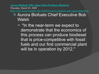Aurora Biofuels Pilot Algae Plant Produces Biodiesel Thursday, March 05, 2009 http://www.americanfuels.info/2009/03/aurora-biofuels-pilot-algae-plant.html Aurora Biofuels Chief Executive Bob Walsh "In the near-term we expect to demonstrate that the economics of this process can produce biodiesel that is price-competitive with fossil fuels and our first commercial plant will be in operation by 2012." 