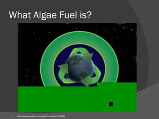 What Algae Fuel is? http://www.youtube.com/watch?v=xbLACcUN4fQ 