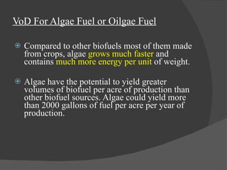 VoD For Algae Fuel or Oilgae Fuel Compared to other biofuels most of them made from crops, algae  grows much faster  and contains  much more energy per unit  of weight. Algae have the potential to yield greater volumes of biofuel per acre of production than other biofuel sources. Algae could yield more than 2000 gallons of fuel per acre per year of production.  
