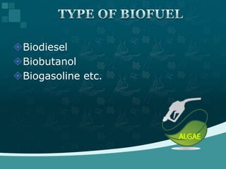 Algal biofuel | PPTX