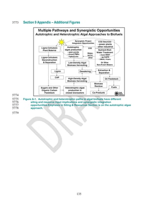 5773   Section 9 Appendix – Additional Figures




5774
5775   Figure A-1. Autotrophic and heterotrophic paths to algal biofuels have different
5776         siting and resource input implications and synergistic integration
5777         opportunities.Emphasis in Siting & Resources Section is on the autotrophic algae
5778         approach.
5779




                                                 135
 