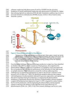 1502   substrate (employing both photosystems II and I) or NADH from the glycolytic
1503   breakdown of stored carbohydrate (employing only photosystem I) to product H 2. Rather
1504   than utilizing light-driven reduction of FD, the dark, fermentative pathway may involve a
1505   pyruvate-ferredoxin-oxidoreductase (PFOR) enzyme, similar to those found in many
1506   anaerobic systems.




1507
1508   Figure 2: Three different pathways for H2 production
1509          Two are driven by light and the third occurs in the dark. Either water or starch can be the
1510          electron donor. Carbon is fixed under normal photosynthesis with water as the donor, but
1511          the electron acceptor is switched at the level of ferredoxin (FD) from CO 2 to protons
1512          under conditions that lead to H2 production. (Drawing courtesy of Prof. M. Posewitz,
1513          Colorado School of Mines for the drawing).
1514
1515   Four biological challenges limiting biohydrogen production in algae have been identified
1516   as (Seibert et al., 2007) (a) the O2 sensitivity of hydrogenases, (b) competition for
1517   photosynthetic reductant at the level of ferredoxin, (c) regulatory issues associated with
1518   the over production of ATP, and (d) inefficiencies in the utilization of solar light energy
1519   at sunlight intensities. Many laboratories around the world are addressing these
1520   challenges by (a) engineering hydrogenases to improve the enzyme‘s tolerance to the
1521   presence of O2 (Cohen et al., 2005), (b) identifying metabolic pathways that compete
1522   with hydrogenases for photosynthetic reductant by genomics approaches, and engineering
1523   their down-regulation during H2 production, (c) engineering the photosynthetic
1524   membrane to significantly decrease the efficiency of photosynthetic-electron-transport-
1525   coupled ATP production (not depicted in Figure 2; ATP is required for carbon fixation
1526   but for not H2 production), and (d) engineering the photosynthetic antenna pigment
1527   content to maximize the amount of solar light that can be used effectively in a
1528   photobioreactor (Polle et al., 2003). If all of the research challenges can be over come,


                                                      30
 