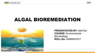 AIMT
ALGAL BIOREMEDIATION
PRESENTATION BY- Aditi Kar
COURSE- Environmental
Microbiology
ROLL.No- A0999321017
 