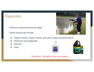 Algaecides
Chemical	compounds	that	kill	algae.
These	compounds	include:
● Copper	sulfate,	copper	citrate,	and	other	copper	based	products
● Potassium	permanganate
● Chlorine
● Lead	
Drawback - Harmful to the environment
 