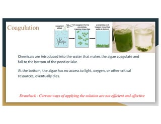 Coagulation
Chemicals	are	introduced	into	the	water	that	makes	the	algae	coagulate	and	
fall	to	the	bottom	of	the	pond	or	lake.		
At	the	bottom,	the	algae	has	no	access	to	light,	oxygen,	or	other	critical	
resources,	eventually	dies.		
Drawback - Current ways of applying the solution are not efficient and effective
 
