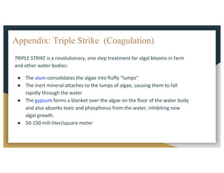 Appendix: Triple Strike (Coagulation)
TRIPLE	STRIKE is	a	revolutionary,	one	step	treatment	for	algal	blooms	in	farm	
and	other	water	bodies:
● The	alum consolidates	the	algae	into	fluffy	“lumps”
● The	inert	mineral	attaches	to	the	lumps	of	algae,	causing	them	to	fall	
rapidly	through	the	water
● The	gypsum forms	a	blanket	over	the	algae	on	the	floor	of	the	water	body	
and	also	absorbs	toxic	and	phosphorus	from	the	water,	inhibiting	new	
algal	growth.
● 50-150	mili-liter/square	meter
 