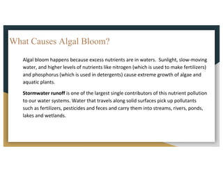 Algal	bloom	happens	because	excess	nutrients	are	in	waters.		Sunlight,	slow-moving	
water,	and	higher	levels	of	nutrients	like	nitrogen	(which	is	used	to	make	fertilizers)	
and	phosphorus	(which	is	used	in	detergents)	cause	extreme	growth	of	algae	and	
aquatic	plants.
Stormwater	runoff is	one	of	the	largest	single	contributors	of	this	nutrient	pollution	
to	our	water	systems.	Water	that	travels	along	solid	surfaces	pick	up	pollutants	
such	as	fertilizers,	pesticides	and	feces	and	carry	them	into	streams,	rivers,	ponds,	
lakes	and	wetlands.	
What Causes Algal Bloom?
 