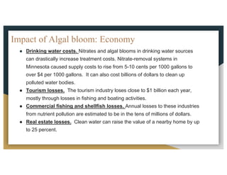 Impact of Algal bloom: Economy
● Drinking water costs. Nitrates and algal blooms in drinking water sources
can drastically increase treatment costs. Nitrate-removal systems in
Minnesota caused supply costs to rise from 5-10 cents per 1000 gallons to
over $4 per 1000 gallons. It can also cost billions of dollars to clean up
polluted water bodies.
● Tourism losses. The tourism industry loses close to $1 billion each year,
mostly through losses in fishing and boating activities.
● Commercial fishing and shellfish losses. Annual losses to these industries
from nutrient pollution are estimated to be in the tens of millions of dollars.
● Real estate losses. Clean water can raise the value of a nearby home by up
to 25 percent.
 