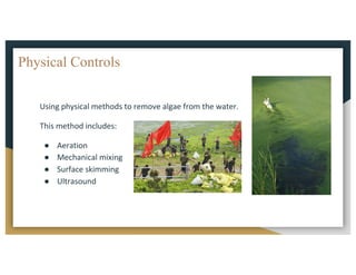 Physical Controls
Using	physical	methods	to	remove	algae	from	the	water.
This	method	includes:
● Aeration
● Mechanical	mixing
● Surface	skimming
● Ultrasound	
 