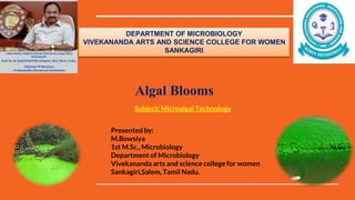 Subject: Microalgal Technology
Presented by:
M.Bowsiya
1st M.Sc., Microbiology
Department of Microbiology
Vivekananda arts and science college for women
Sankagiri,Salem, Tamil Nadu.
Algal Blooms
DEPARTMENT OF MICROBIOLOGY
VIVEKANANDA ARTS AND SCIENCE COLLEGE FOR WOMEN
SANKAGIRI
 