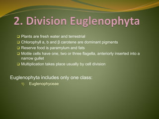 Classification of Algae