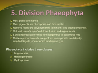 Classification of Algae