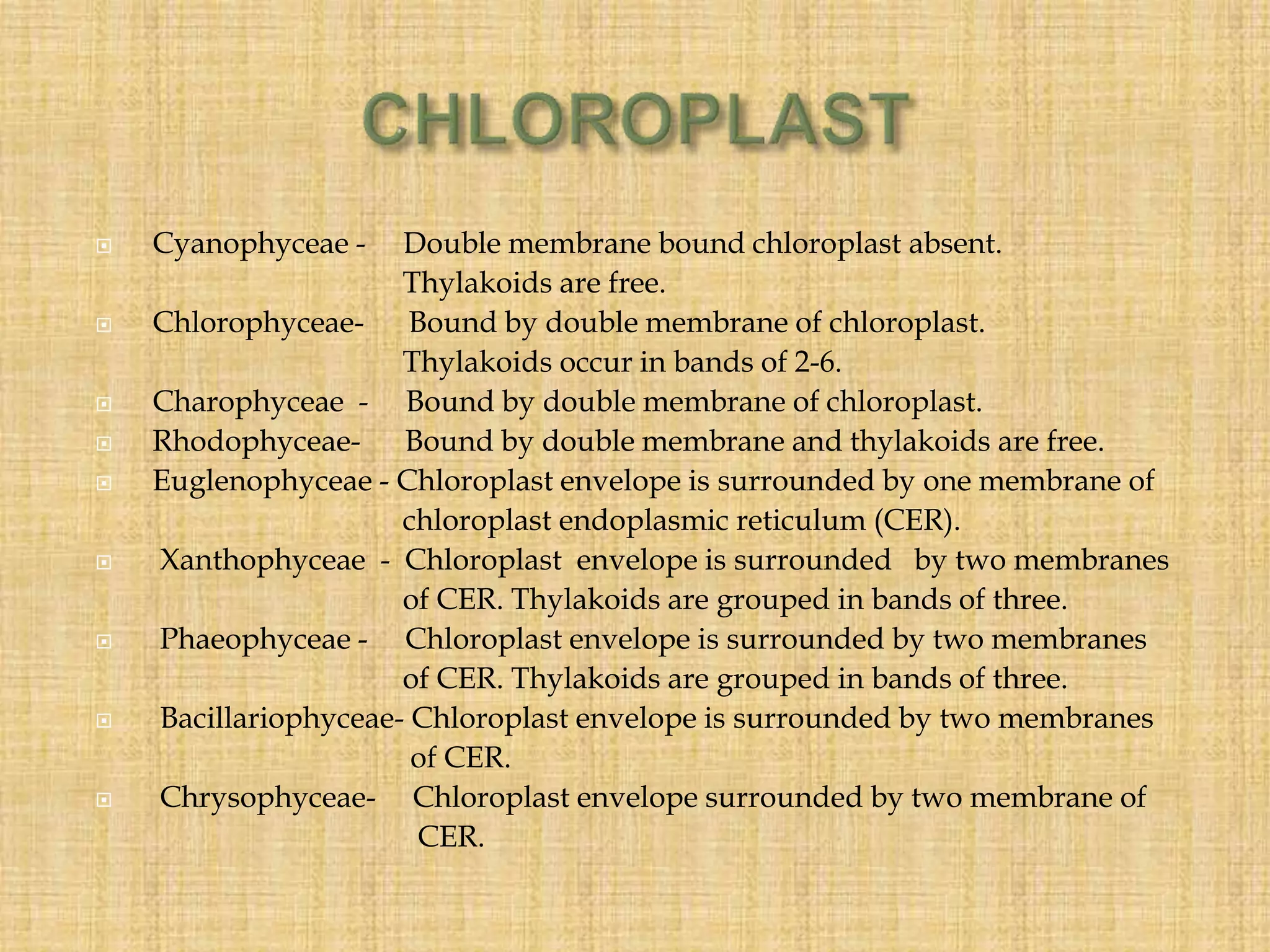  Cyanophyceae - Double membrane bound chloroplast absent.
Thylakoids are free.
 Chlorophyceae- Bound by double membrane of chloroplast.
Thylakoids occur in bands of 2-6.
 Charophyceae - Bound by double membrane of chloroplast.
 Rhodophyceae- Bound by double membrane and thylakoids are free.
 Euglenophyceae - Chloroplast envelope is surrounded by one membrane of
chloroplast endoplasmic reticulum (CER).
 Xanthophyceae - Chloroplast envelope is surrounded by two membranes
of CER. Thylakoids are grouped in bands of three.
 Phaeophyceae - Chloroplast envelope is surrounded by two membranes
of CER. Thylakoids are grouped in bands of three.
 Bacillariophyceae- Chloroplast envelope is surrounded by two membranes
of CER.
 Chrysophyceae- Chloroplast envelope surrounded by two membrane of
CER.
 