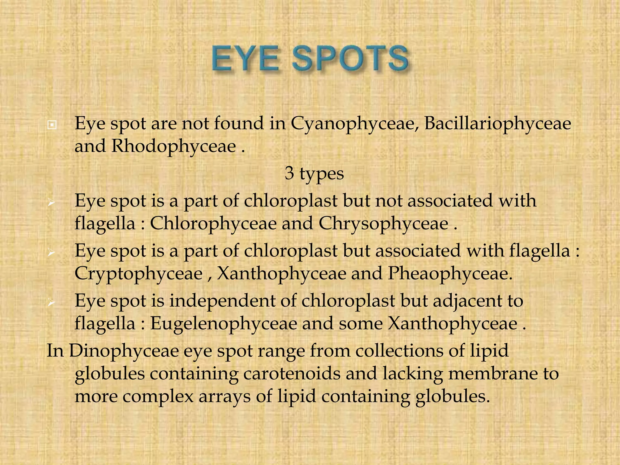  Eye spot are not found in Cyanophyceae, Bacillariophyceae
and Rhodophyceae .
3 types
 Eye spot is a part of chloroplast but not associated with
flagella : Chlorophyceae and Chrysophyceae .
 Eye spot is a part of chloroplast but associated with flagella :
Cryptophyceae , Xanthophyceae and Pheaophyceae.
 Eye spot is independent of chloroplast but adjacent to
flagella : Eugelenophyceae and some Xanthophyceae .
In Dinophyceae eye spot range from collections of lipid
globules containing carotenoids and lacking membrane to
more complex arrays of lipid containing globules.
 