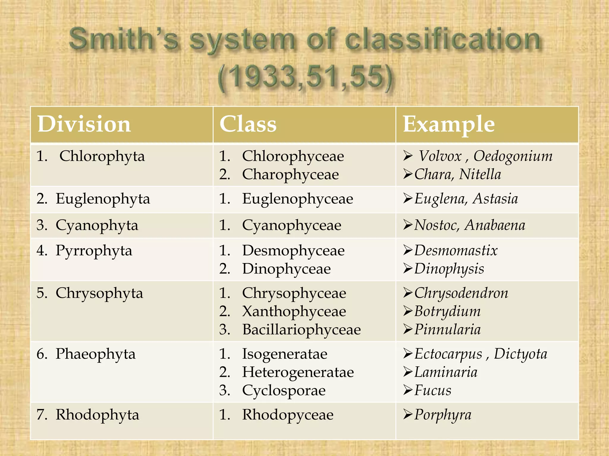 Division Class Example
1. Chlorophyta 1. Chlorophyceae
2. Charophyceae
 Volvox , Oedogonium
Chara, Nitella
2. Euglenophyta 1. Euglenophyceae Euglena, Astasia
3. Cyanophyta 1. Cyanophyceae Nostoc, Anabaena
4. Pyrrophyta 1. Desmophyceae
2. Dinophyceae
Desmomastix
Dinophysis
5. Chrysophyta 1. Chrysophyceae
2. Xanthophyceae
3. Bacillariophyceae
Chrysodendron
Botrydium
Pinnularia
6. Phaeophyta 1. Isogeneratae
2. Heterogeneratae
3. Cyclosporae
Ectocarpus , Dictyota
Laminaria
Fucus
7. Rhodophyta 1. Rhodopyceae Porphyra
 