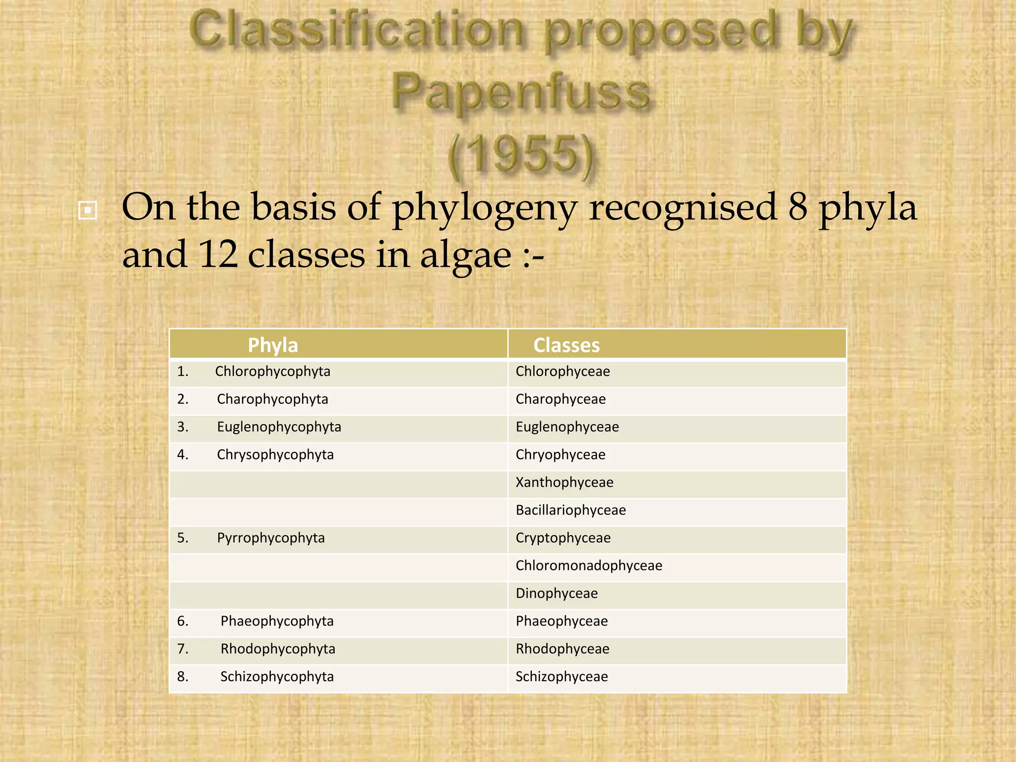  On the basis of phylogeny recognised 8 phyla
and 12 classes in algae :-
Phyla Classes
1. Chlorophycophyta Chlorophyceae
2. Charophycophyta Charophyceae
3. Euglenophycophyta Euglenophyceae
4. Chrysophycophyta Chryophyceae
Xanthophyceae
Bacillariophyceae
5. Pyrrophycophyta Cryptophyceae
Chloromonadophyceae
Dinophyceae
6. Phaeophycophyta Phaeophyceae
7. Rhodophycophyta Rhodophyceae
8. Schizophycophyta Schizophyceae
 