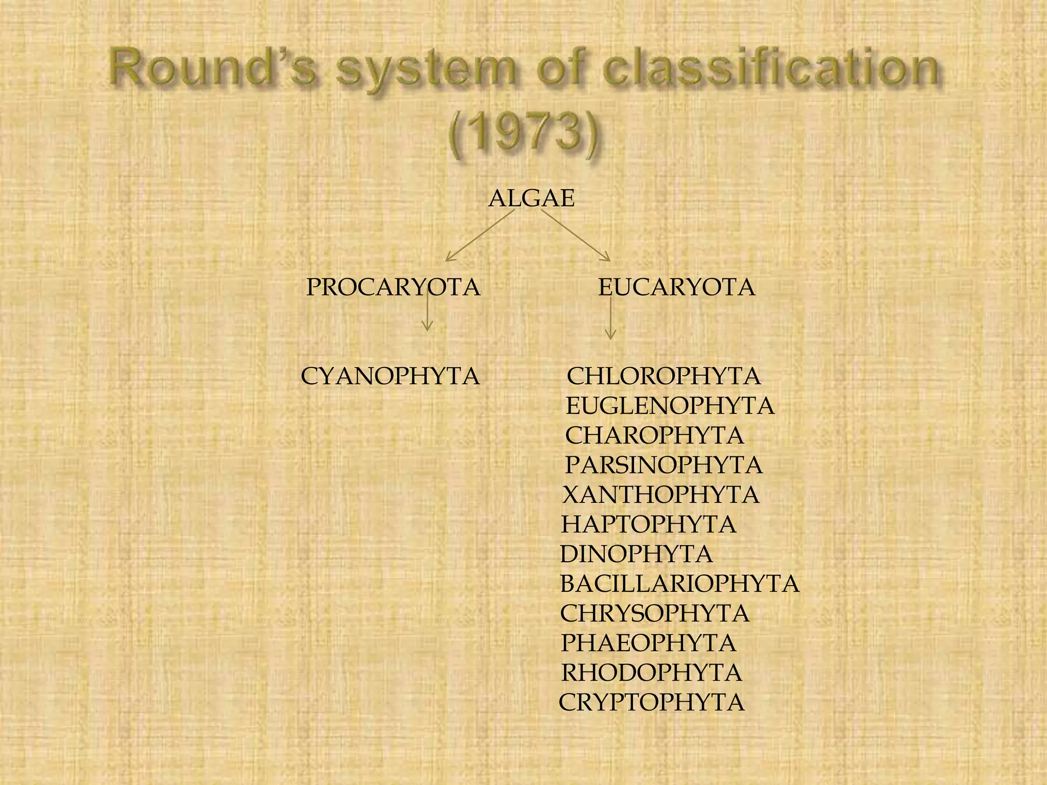 ALGAE
PROCARYOTA EUCARYOTA
CYANOPHYTA CHLOROPHYTA
EUGLENOPHYTA
CHAROPHYTA
PARSINOPHYTA
XANTHOPHYTA
HAPTOPHYTA
DINOPHYTA
BACILLARIOPHYTA
CHRYSOPHYTA
PHAEOPHYTA
RHODOPHYTA
CRYPTOPHYTA
 