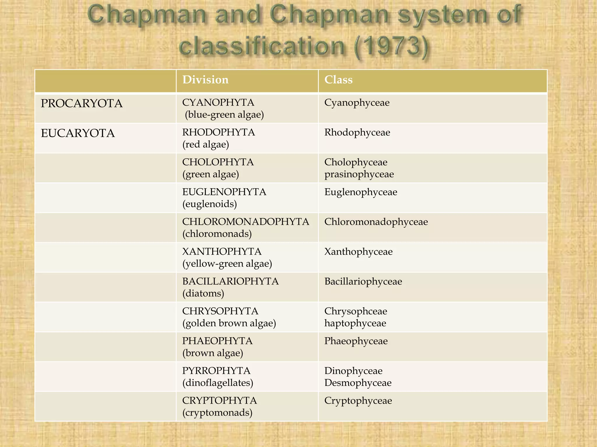 Division Class
PROCARYOTA CYANOPHYTA
(blue-green algae)
Cyanophyceae
EUCARYOTA RHODOPHYTA
(red algae)
Rhodophyceae
CHOLOPHYTA
(green algae)
Cholophyceae
prasinophyceae
EUGLENOPHYTA
(euglenoids)
Euglenophyceae
CHLOROMONADOPHYTA
(chloromonads)
Chloromonadophyceae
XANTHOPHYTA
(yellow-green algae)
Xanthophyceae
BACILLARIOPHYTA
(diatoms)
Bacillariophyceae
CHRYSOPHYTA
(golden brown algae)
Chrysophceae
haptophyceae
PHAEOPHYTA
(brown algae)
Phaeophyceae
PYRROPHYTA
(dinoflagellates)
Dinophyceae
Desmophyceae
CRYPTOPHYTA
(cryptomonads)
Cryptophyceae
 