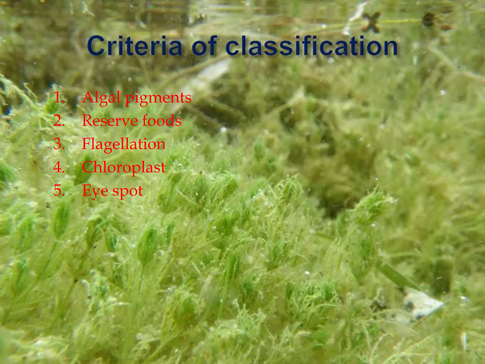 1. Algal pigments
2. Reserve foods
3. Flagellation
4. Chloroplast
5. Eye spot
 