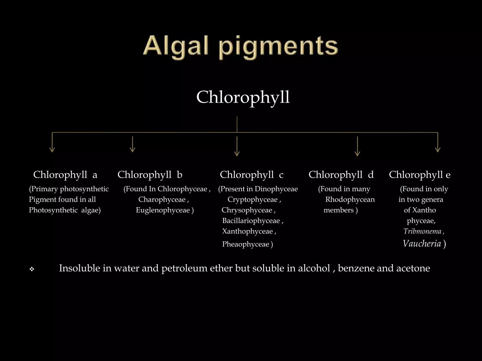 Chlorophyll
Chlorophyll a Chlorophyll b Chlorophyll c Chlorophyll d Chlorophyll e
(Primary photosynthetic (Found In Chlorophyceae , (Present in Dinophyceae (Found in many (Found in only
Pigment found in all Charophyceae , Cryptophyceae , Rhodophycean in two genera
Photosynthetic algae) Euglenophyceae ) Chrysophyceae , members ) of Xantho
Bacillariophyceae , phyceae,
Xanthophyceae , Tribmonema ,
Pheaophyceae ) Vaucheria )
 Insoluble in water and petroleum ether but soluble in alcohol , benzene and acetone
 