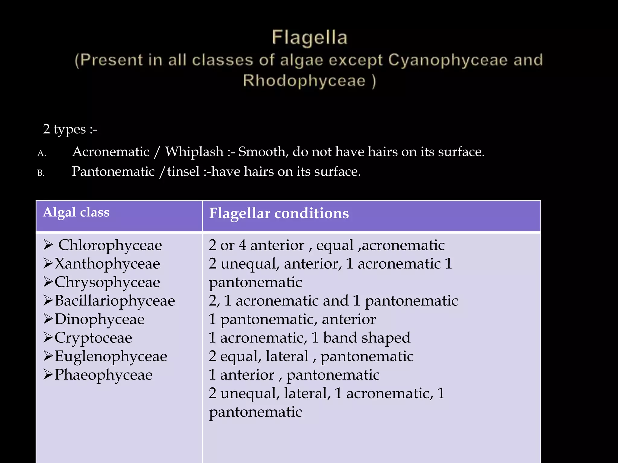 2 types :-
A. Acronematic / Whiplash :- Smooth, do not have hairs on its surface.
B. Pantonematic /tinsel :-have hairs on its surface.
Algal class Flagellar conditions
 Chlorophyceae
Xanthophyceae
Chrysophyceae
Bacillariophyceae
Dinophyceae
Cryptoceae
Euglenophyceae
Phaeophyceae
2 or 4 anterior , equal ,acronematic
2 unequal, anterior, 1 acronematic 1
pantonematic
2, 1 acronematic and 1 pantonematic
1 pantonematic, anterior
1 acronematic, 1 band shaped
2 equal, lateral , pantonematic
1 anterior , pantonematic
2 unequal, lateral, 1 acronematic, 1
pantonematic
 
