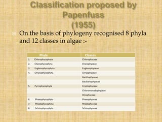  On the basis of phylogeny recognised 8 phyla
and 12 classes in algae :-
Phyla Classes
1. Chlorophycophyta Chlorophyceae
...