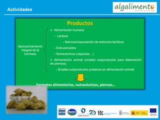 Actividades
Productos
Formatos alimentarios, nutracéuticos, piensos…
Aprovechamiento
integral de la
biomasa
 Alimentación humana
- Lácteos
- Nannoencapsulación de extractos lipídicos
- Extrusionados
- Nutracéuticos (cápsulas…)
 Alimentación animal (empleo subproductos para elaboración
de piensos)
- Empleo subproductos proteicos en alimentación animal
 