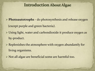 ➢ Photoautotrophs - do photosynthesis and release oxygen
(except purple and green bacteria).
➢ Using light, water and carbondioxide it produce oxygen as
by-product.
➢ Replenishes the atmosphere with oxygen abundantly for
living organisms.
➢ Not all algae are beneficial some are harmful too.
 