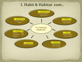 ii). LITHOPHYTIC
Survive on Rocky
Substratum
iv). EPIZOIC
Survive on some
other Animals
v). ENDOZOIC
Lives in some
other Animals
iii). EPIPHYTIC
Survive on some
other Plants
vi). PARASITIC
Lives as a Parasite
i). HALOPHYTIC
Survive in Saline
Water
VI. UNUSUAL
HABITATS:
vii). SYMBIOTIC
Lichens - Algal
Association with
Fungus
I. Habit & Habitat cont..
 