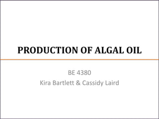 PRODUCTION OF ALGAL OIL
BE 4380
Kira Bartlett & Cassidy Laird
 