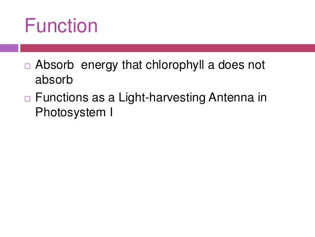 What is the function of chlorophyll and other pigments in algae