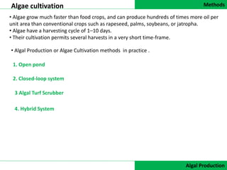 Methods
DATA COLLECTION
Algae cultivation
Algal Production
• Algae grow much faster than food crops, and can produce hundreds of times more oil per
unit area than conventional crops such as rapeseed, palms, soybeans, or jatropha.
• Algae have a harvesting cycle of 1–10 days.
• Their cultivation permits several harvests in a very short time-frame.
2. Closed-loop system
• Algal Production or Algae Cultivation methods in practice .
1. Open pond
3 Algal Turf Scrubber
4. Hybrid System
 