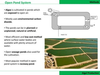 Methods
DATA COLLECTION
Open Pond System
Algal Production
• Algae is cultivated in ponds which
are exposed to open air.
• Mostly uses environmental carbon
dioxide.
• The ponds can be in planned or
unplanned, natural or artificial.
• Most efficient and low cost method
where surface water bodies are
available with plenty amount of
water.
• Open sewage-ponds also used for
the cultivation.
• Most popular method in open
pond system is raceway pond.
 