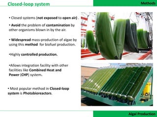 Methods
DATA COLLECTION
Closed-loop system
Algal Production
• Closed systems (not exposed to open air) .
• Avoid the problem of contamination by
other organisms blown in by the air.
• Widespread mass-production of algae by
using this method for biofuel production.
•Highly controlled production.
•Allows integration facility with other
facilities like Combined Heat and
Power (CHP) system.
• Most popular method in Closed-loop
system is Photobioreactors.
 