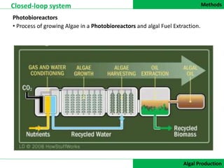 Methods
DATA COLLECTION
Closed-loop system
Algal Production
Photobioreactors
• Process of growing Algae in a Photobioreactors and algal Fuel Extraction.
 