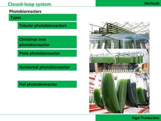 Methods
DATA COLLECTION
Closed-loop system
Algal Production
Photobioreactors
Tubular photobioreactors
Christmas tree
photobioreactor
Plate photobioreactor
Horizontal photobioreactor
Foil photobioreactor
Types
 