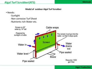 Methods
DATA COLLECTION
Algal Turf Scrubber(ATS)
Algal Production
• Needs:
-Sunlight
-Non corrosive Turf Sheet
-Nutrients rich Water etc.
Model of outdoor Algal Turf Scrubber
 