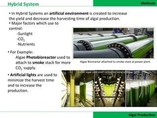 Methods
DATA COLLECTION
Hybrid System
Algal Production
• In Hybrid Systems an artificial environment is created to increase
the yield and decrease the harvesting time of algal production.
Algae Bioreactor attached to smoke stack at power plant.
• For Example:
Algae Photobioreactor used to
attach to smoke stack for more
CO2 supply.
• Major factors which use to
control:
-Sunlight
-CO2
-Nutrients
• Artificial lights are used to
minimize the harvest time
and to increase the
production.
 
