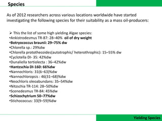 DATA COLLECTION
Species
Yielding Species
As of 2012 researchers across various locations worldwide have started
investigating the following species for their suitability as a mass oil-producers:
 This the list of some high yielding Algae species:
•Ankistrodesmus TR-87: 28–40% oil of dry weight
•Botryococcus braunii: 29–75% dw
•Chlorella sp.: 29%dw
•Chlorella protothecoides(autotrophic/ heterothrophic): 15–55% dw
•Cyclotella DI- 35: 42%dw
•Dunaliella tertiolecta : 36–42%dw
•Hantzschia DI-160: 66%dw
•Nannochloris: 31(6–63)%dw
•Nannochloropsis : 46(31–68)%dw
•Neochloris oleoabundans: 35–54%dw
•Nitzschia TR-114: 28–50%dw
•Scenedesmus TR-84: 45%dw
•Schizochytrium 50–77%dw
•Stichococcus: 33(9–59)%dw
 