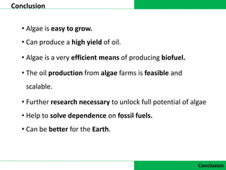 DATA COLLECTION
Conclusion
Conclusion
• Algae is easy to grow.
• Can produce a high yield of oil.
• Algae is a very efficient means of producing biofuel.
• The oil production from algae farms is feasible and
scalable.
• Further research necessary to unlock full potential of algae
• Help to solve dependence on fossil fuels.
• Can be better for the Earth.
 