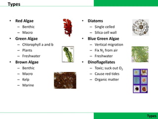 DATA COLLECTION
Types
Types
• Red Algae
– Benthic
– Macro
• Green Algae
– Chlorophyll a and b
– Plants
– Freshwater
• Brown Algae
– Benthic
– Macro
– Kelp
– Marine
• Diatoms
– Single celled
– Silica cell wall
• Blue Green Algae
– Vertical migration
– Fix N2 from air
– Freshwater
• Dinoflagellates
– Toxic; suck out O2
– Cause red tides
– Organic matter
 