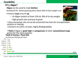 DATA COLLECTIONAlgae fuel
Feasibility
Why Algae?
•Algae can be used to make biofuel.
-- High growth rate and easy to grow
• Once harvested, this oil can be converted into fuels for transportation,
aviation or heating
-- As Algae contain oil from 15% to 70% of its dry weight.
• Yield of Algae is quite high in comparison of other conventional crops
grown for the same purpose.
• Produces large amounts oil
•Among all the fastest growing plants about 50% of their weight is oil.
Yield of Various Plant Oils
(in liters per Hectare per Year)
• Contains no sulfur, no toxic, highly Biodegradable.
99999
5951
2290
1412
950
780
447
227
Algae
Palm
Coconut
Castor
Sunflower
Safflower
Soybeans
Corn
Source: oilgae.com, 2008 Data
 
