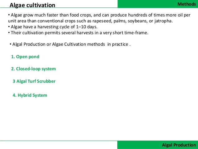 Culturing of algae ppt presentation