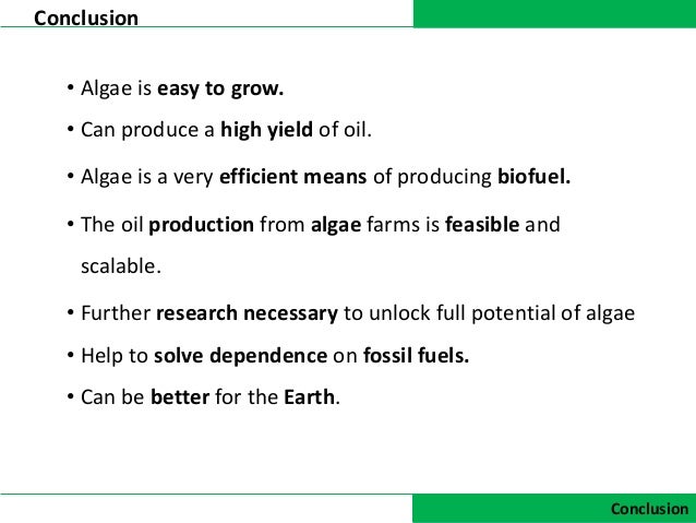 essay on biofuels