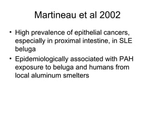 Martineau et al 2002
• High prevalence of epithelial cancers,
  especially in proximal intestine, in SLE
  beluga
• Epidemiologically associated with PAH
  exposure to beluga and humans from
  local aluminum smelters
 