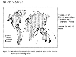 Toxicology of
Marine Mammals –
Vos et al 2003
Taylor and Francis

Source for next 13
slides
 